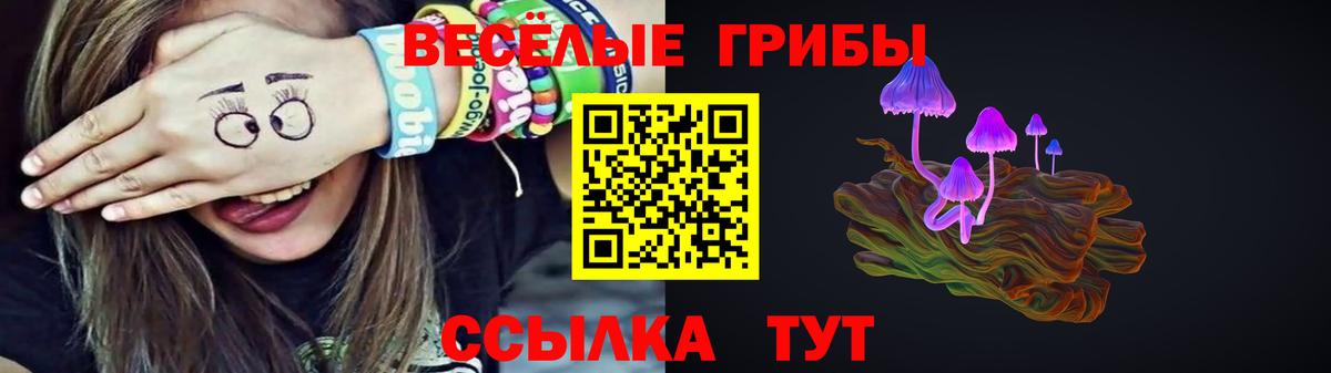 Выкса  Псилоцибиновые грибы мухоморы  Псилоцибиновые грибы мицелий  Вход с VPN 